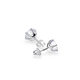 Send White Gold Earrings Tera